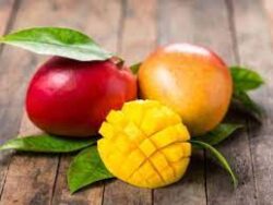 mangue-sun-fruit