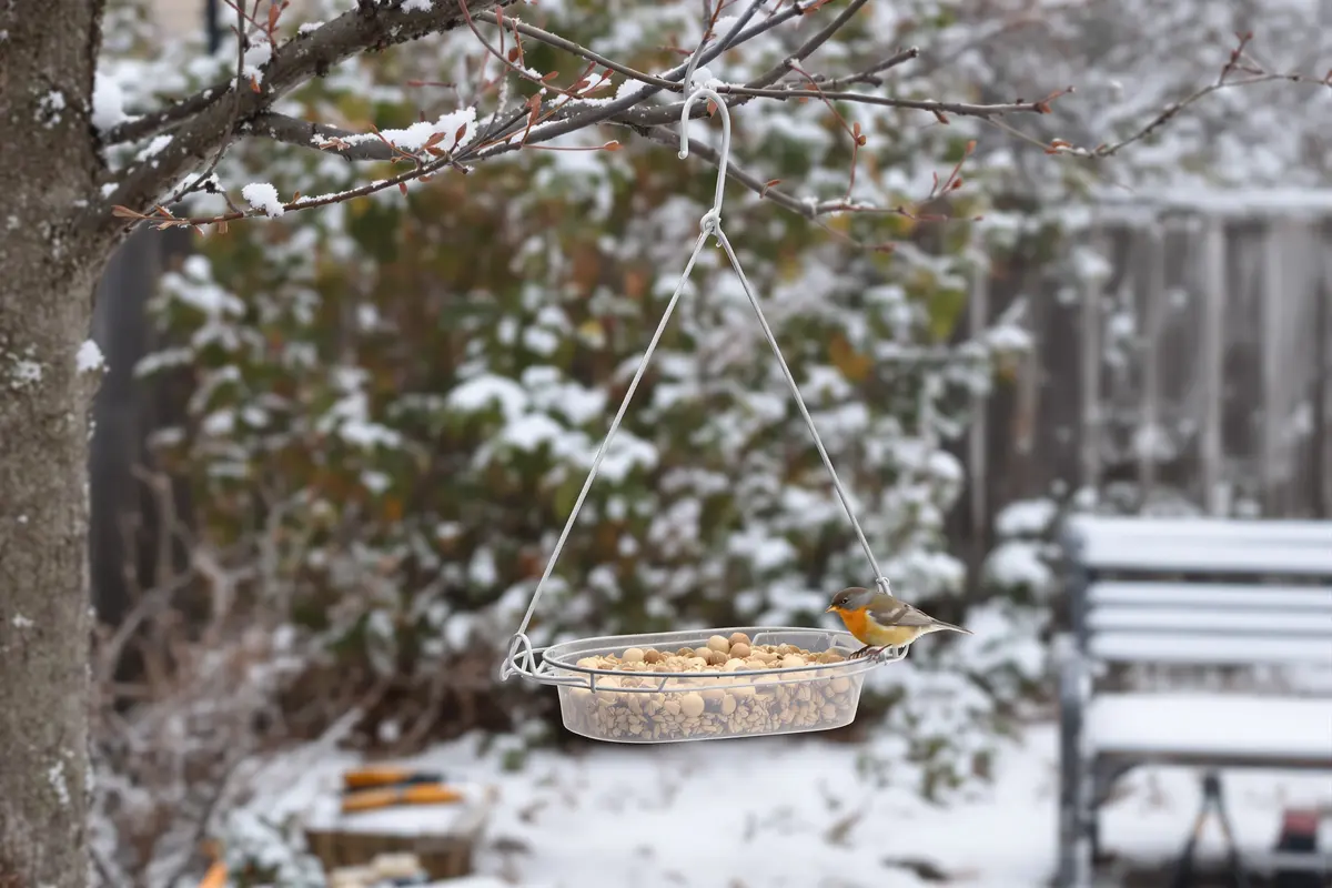 Il sauve un oiseau avec un cintre : la méthode incroyable qui fait le buzz